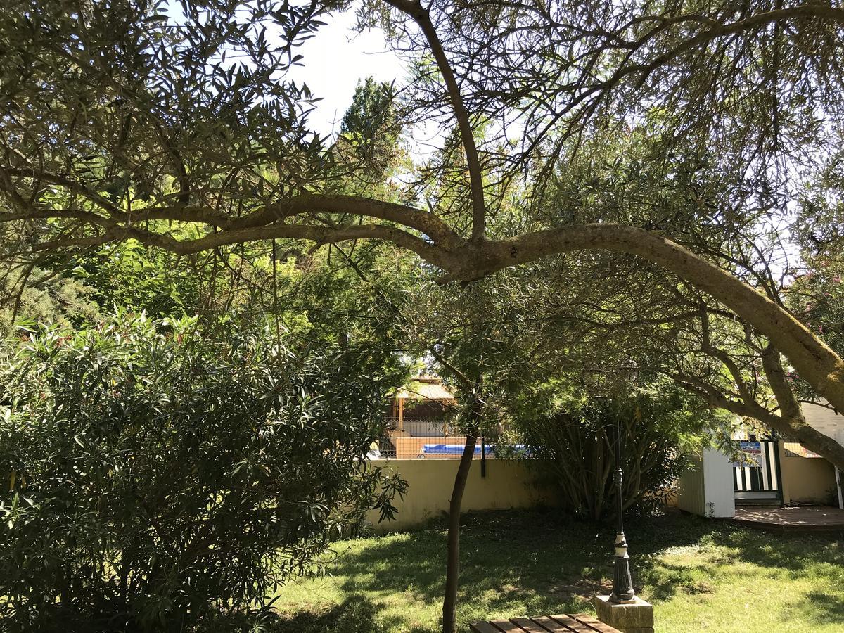 Residence Les Caraibes Sérignan Dış mekan fotoğraf