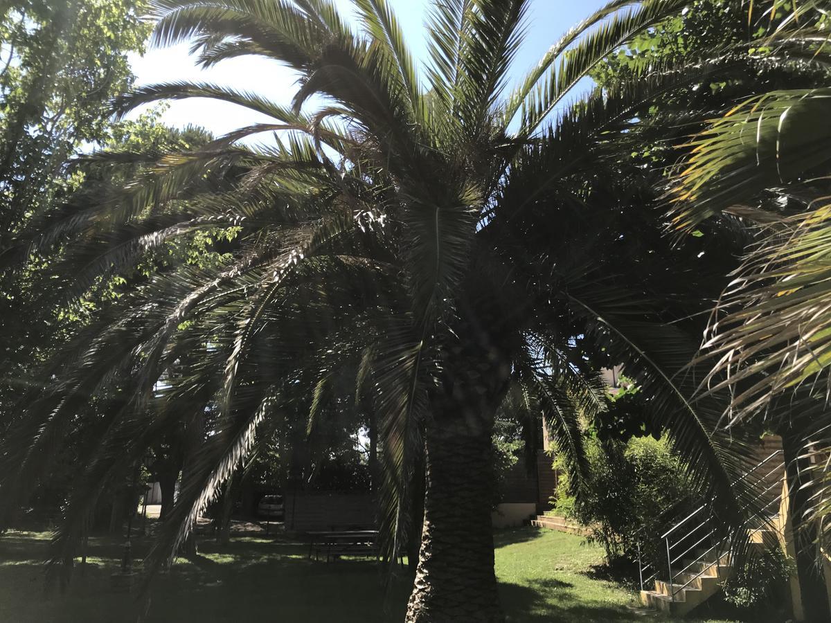 Residence Les Caraibes Sérignan Dış mekan fotoğraf