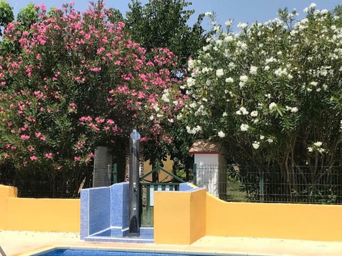 Residence Les Caraibes Sérignan Dış mekan fotoğraf