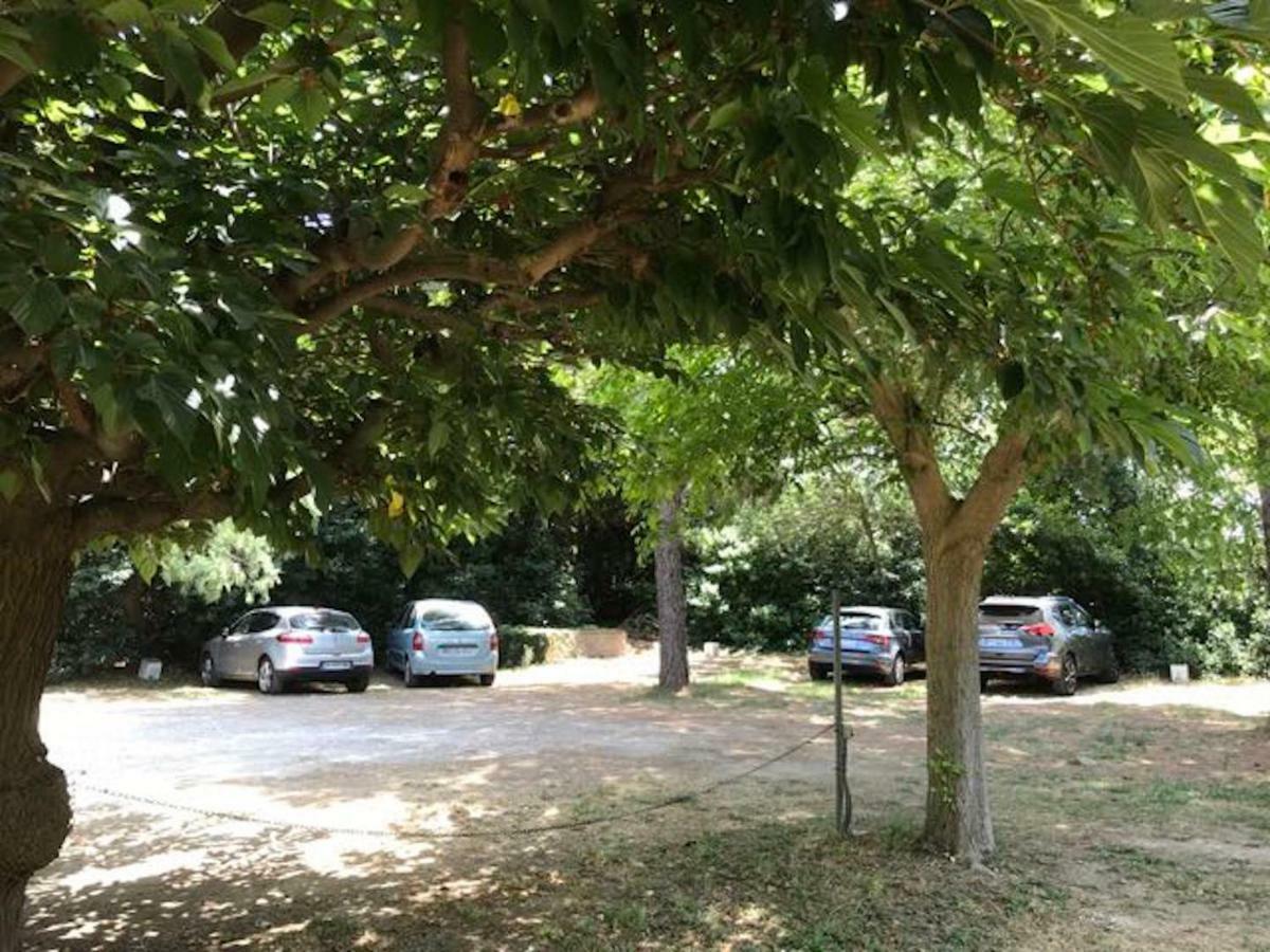 Residence Les Caraibes Sérignan Dış mekan fotoğraf